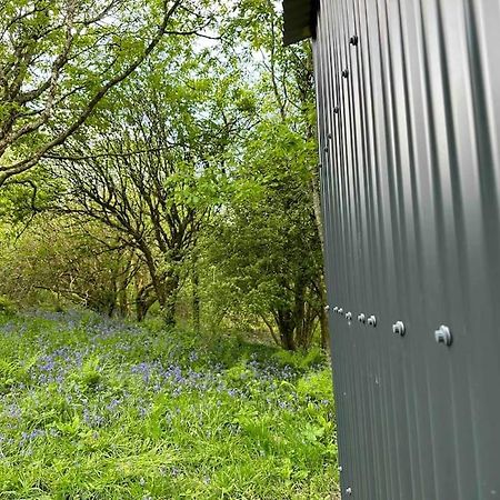 Cornwall Woodland Shepherd'S Hut - Dennis Hut โบดมิน ภายนอก รูปภาพ