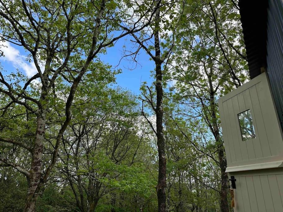 Cornwall Woodland Shepherd'S Hut - Dennis Hut โบดมิน ภายนอก รูปภาพ